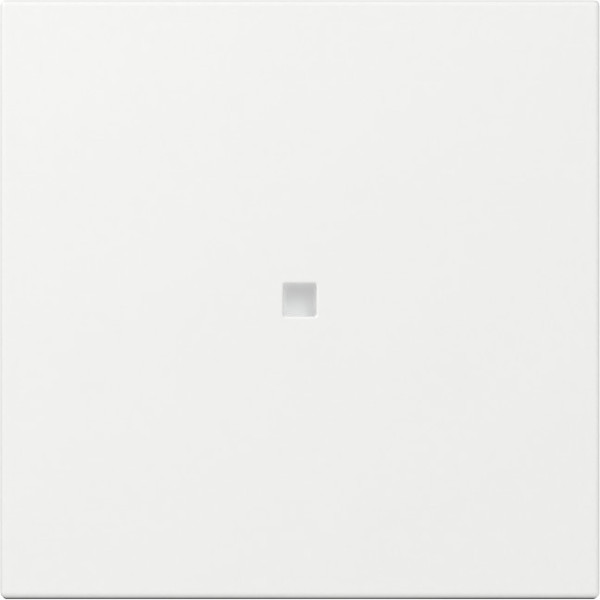 Gira 349003 Wippe gerade Kontrollfür System 55 Reinweiß