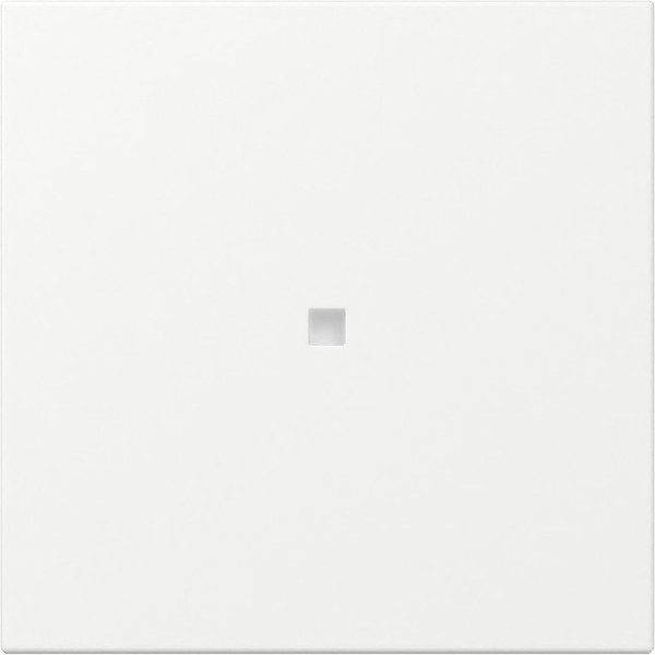 Gira 349027 Wippe gerade Kontrollfür System 55 Reinweiß m