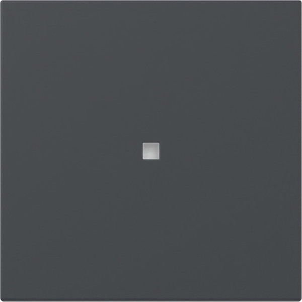 Gira 349028 Wippe gerade Kontrollfür System 55 Anthrazit