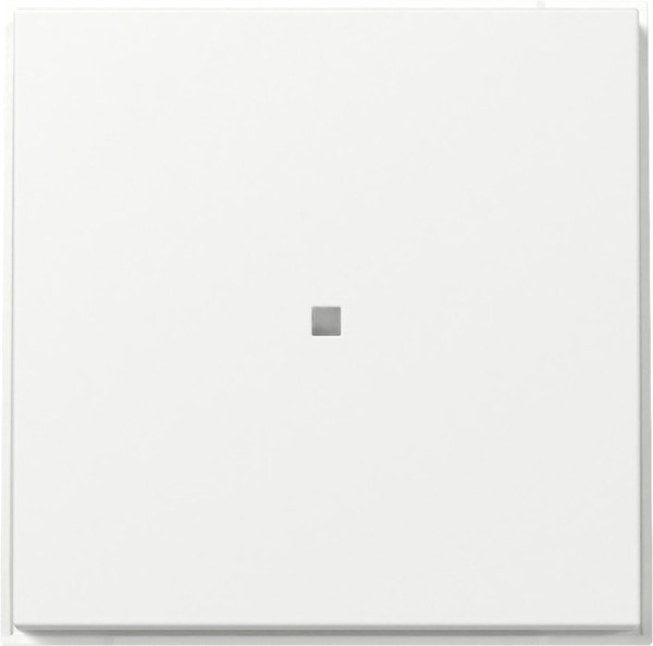 Gira 349066 Wippe gerade Kontrollfür Gira TX_44 Reinweiß