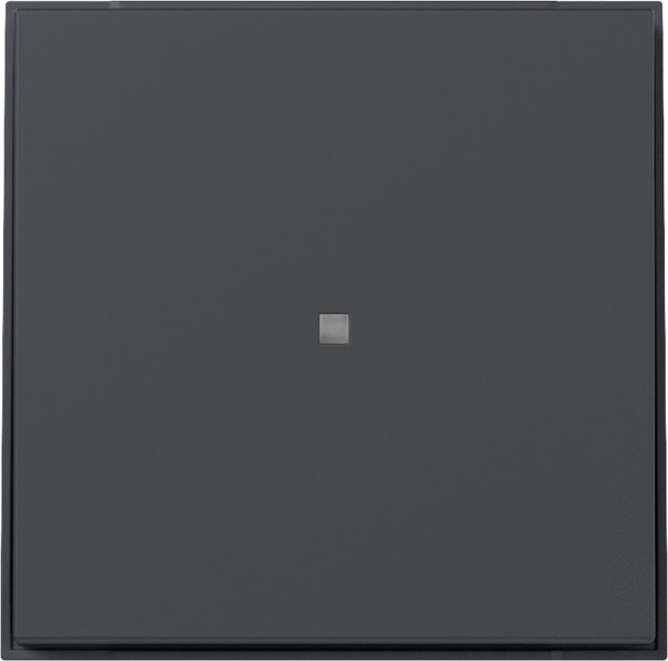 Gira 349067 Wippe gerade Kontrollfür Gira TX_44 Anthrazit