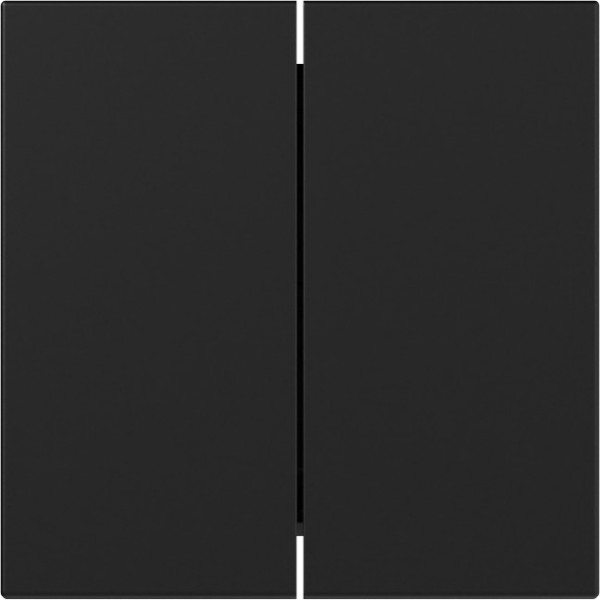 Gira 3495005 Wippe 2-fach gerade System 55 Schwarz m