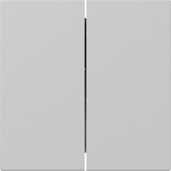 Gira 3495015 Wippe 2-fach gerade System 55 Grau m