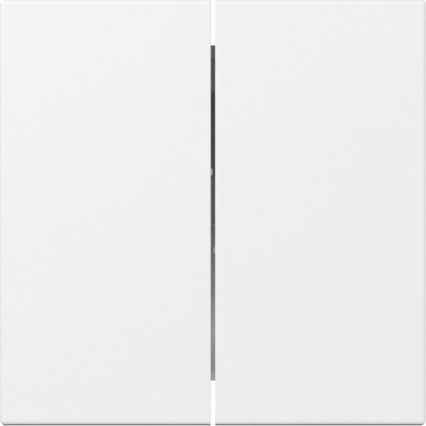 Gira 349503 Wippe 2-fach gerade System 55 Reinweiß