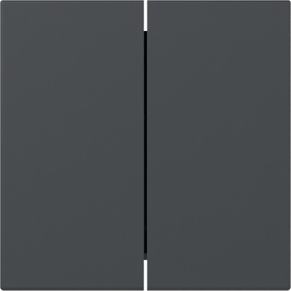 Gira 349528 Wippe 2-fach gerade System 55 Anthrazit