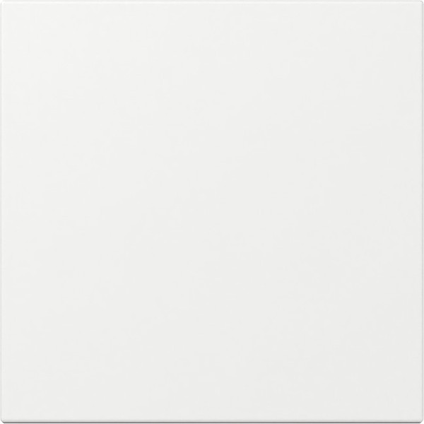 Gira 349603 Wippe gerade System 55 Reinweiß