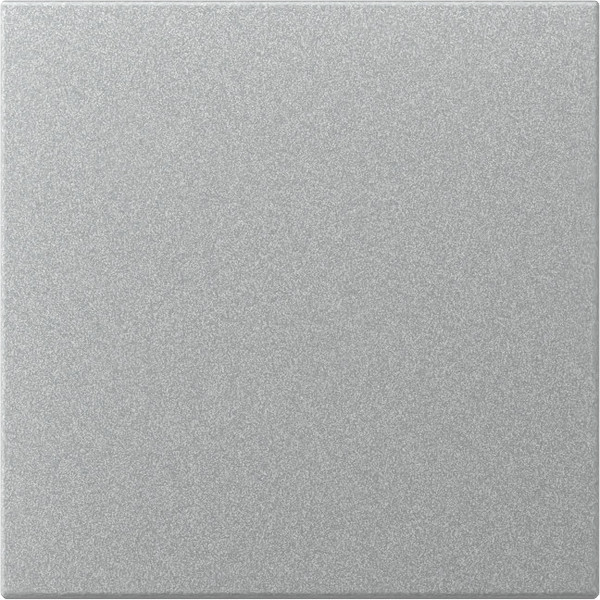 Gira 349626 Wippe gerade System 55 F Alu