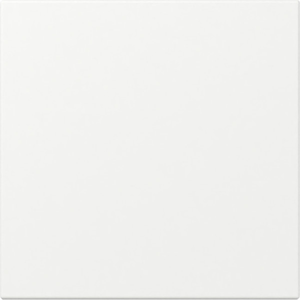 Gira 349627 Wippe gerade System 55 Reinweiß m