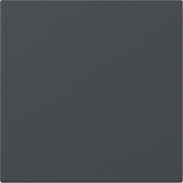 Gira 349628 Wippe gerade System 55 Anthrazit