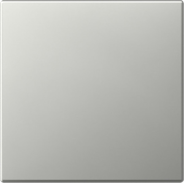 Gira 3496600 Wippe gerade System 55 Edelstahl