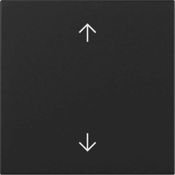 Gira 3616005 Wippe Pfeile System 55 Schwarz m