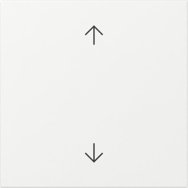 Gira 361603 Wippe Pfeile System 55 Reinweiß