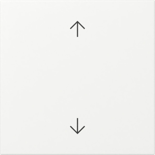 Gira 361627 Wippe Pfeile System 55 Reinweiß m