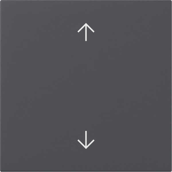 Gira 361628 Wippe Pfeile System 55 Anthrazit