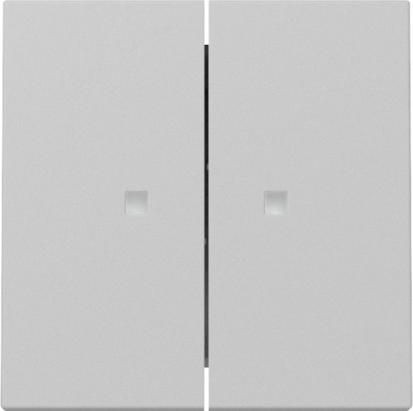 Gira 3631015 Wippe 2-fach Kontrollfür System 55 Grau m