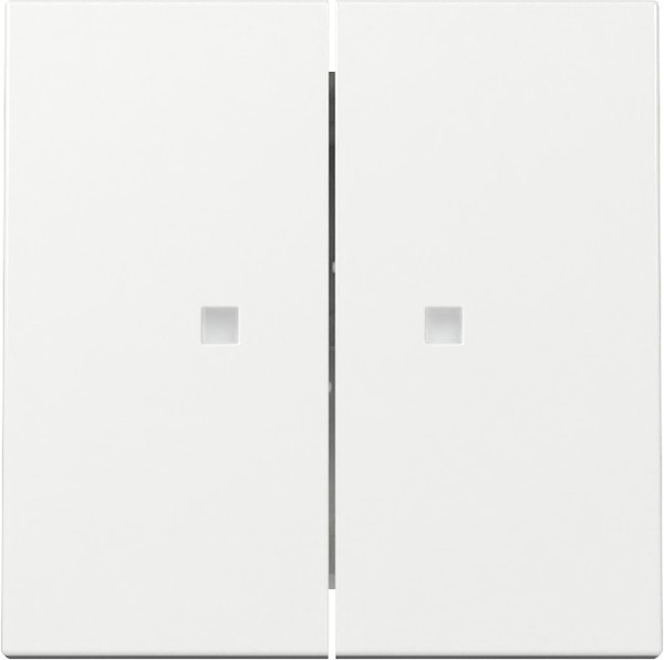 Gira 363103 Wippe 2-fach Kontrollfür System 55 Reinweiß