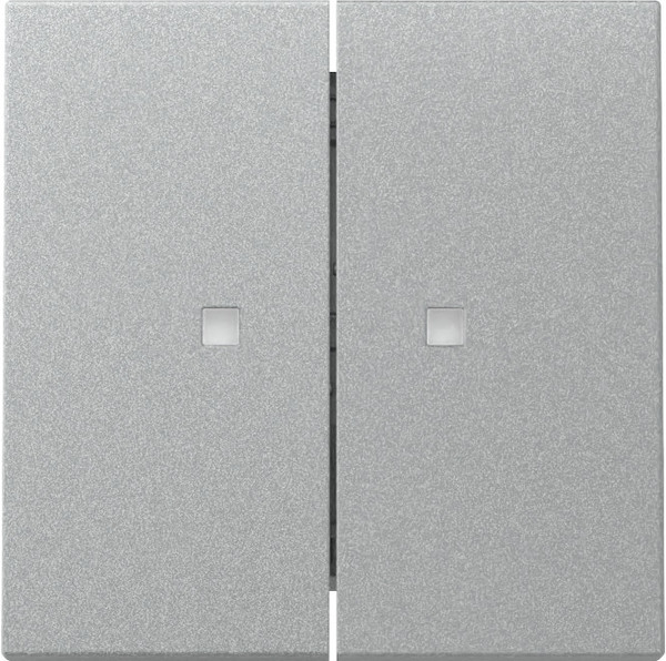 Gira 363126 Wippe 2-fach Kontrollfür System 55 F Alu