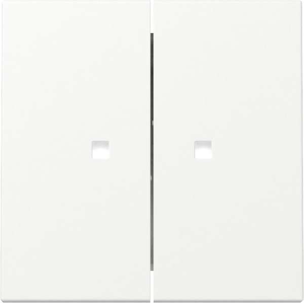 Gira 363127 Wippe 2-fach Kontrollfür System 55 Reinweiß m