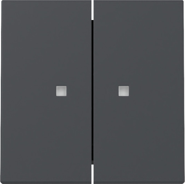 Gira 363128 Wippe 2-fach Kontrollfür System 55 Anthrazit