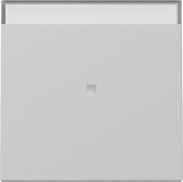 Gira 3670015 Wippe Kontrollfür + Beschriftungsfeld System 55 Grau m