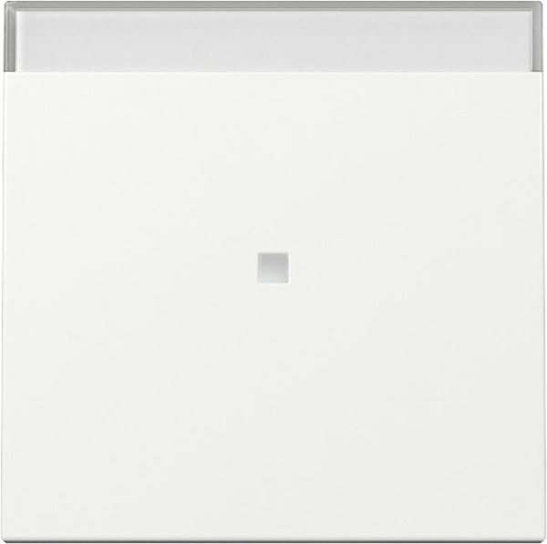 Gira 367003 Wippe Kontrollfür + Beschriftungsfeld System 55 Reinweiß