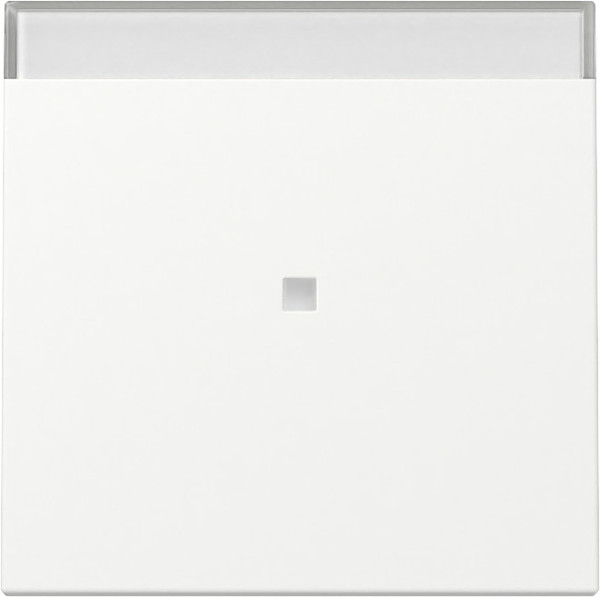 Gira 367027 Wippe Kontrollfür + Beschriftungsfeld System 55 Reinweiß m