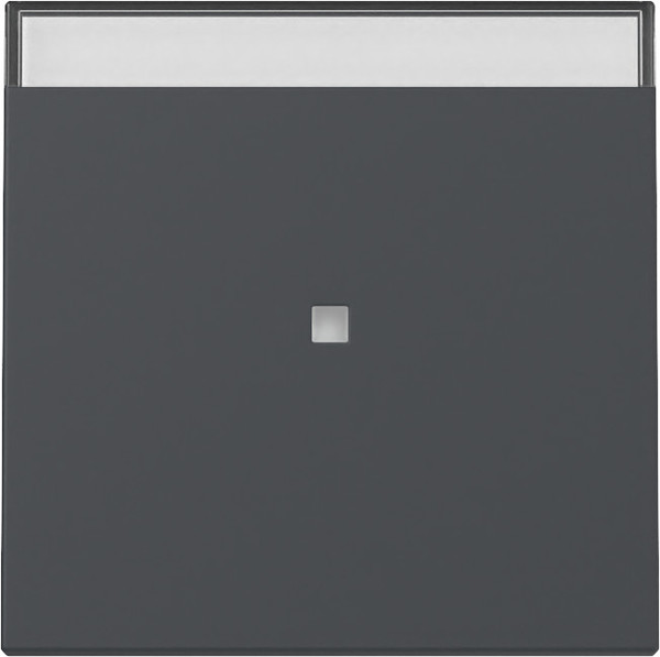 Gira 367028 Wippe Kontrollfür + Beschriftungsfeld System 55 Anthrazit