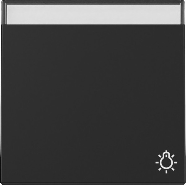 Gira 3673005 Wippe Symbol Klingel + Beschriftungsfeld System 55 Schwarz m