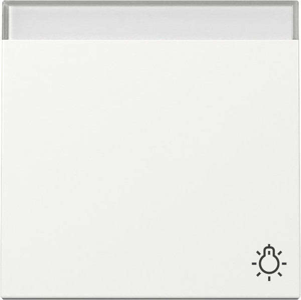 Gira 367303 Wippe Symbol Klingel + Beschriftungsfeld System 55 Reinweiß