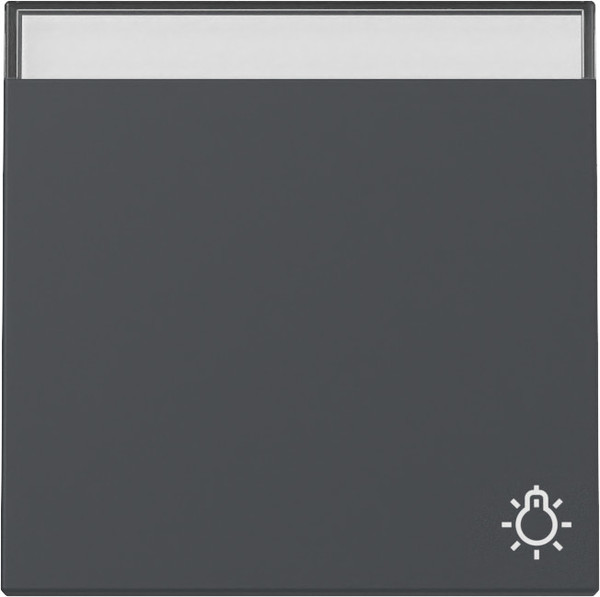 Gira 367328 Wippe Symbol Klingel + Beschriftungsfeld System 55 Anthrazit