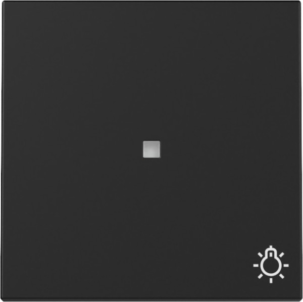 Gira 3674005 Wippe Kontrollfür + Symbol Licht System 55 Schwarz m