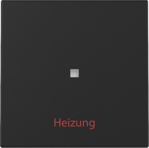Gira 3678005 Wippe Kontrollfür + Heizung Ein/Aus System 55 Schwarz m