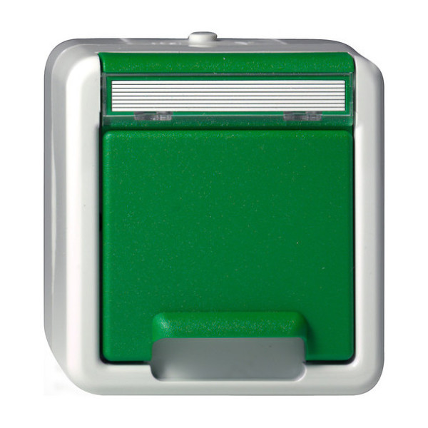 Gira 4440307 SCHUKO-Steckdose KD + Beschriftungsfeld WG AP Grün