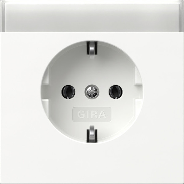 Gira 445770 SCHUKO-Steckdose Beschriftungsfeld Flächenschalter Reinweiß