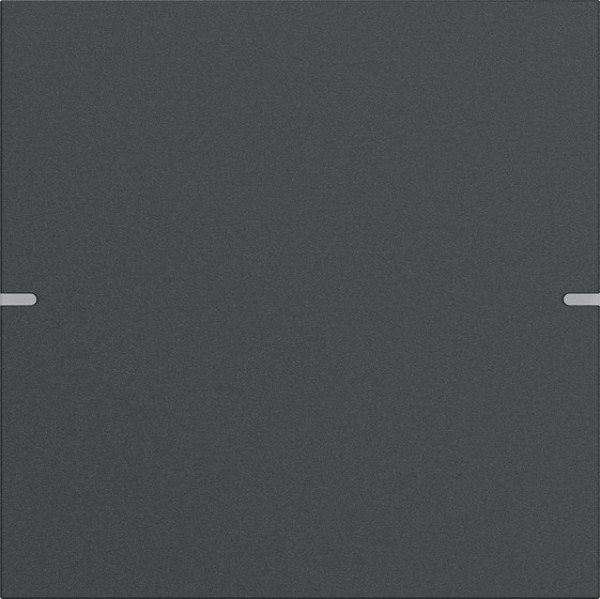 Gira 5021928 Wippenset 1-fach Tastsensensor 4.95 Alum.Anthrazit(lack.)