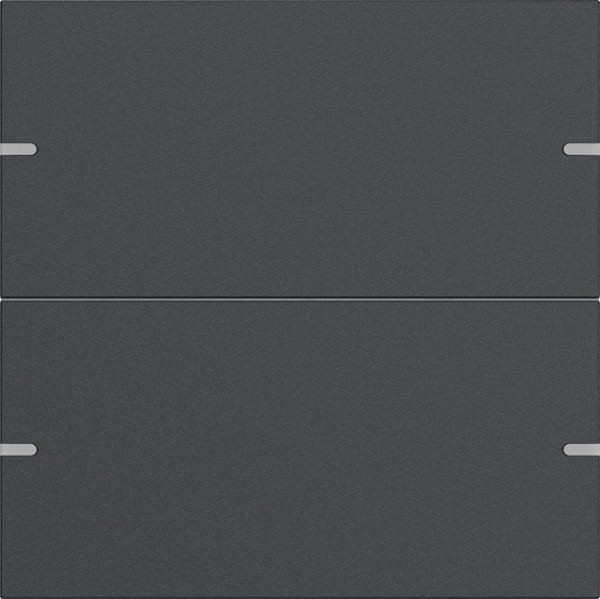 Gira 5022928 Wippenset 2-fach Tastsensensor 4.95 Alum.Anthrazit(lack.)