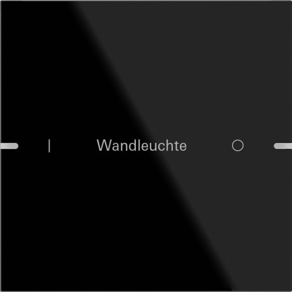 Gira 503105 Wippenset 1-fach individuell Tastsensensor 4.95 G Schwarz