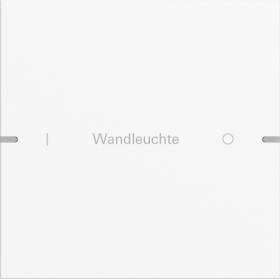 Gira 5031927 Wippenset 1-fach individuell Tastsensensor 4.95 Alum.Reinweiß m(lack.)