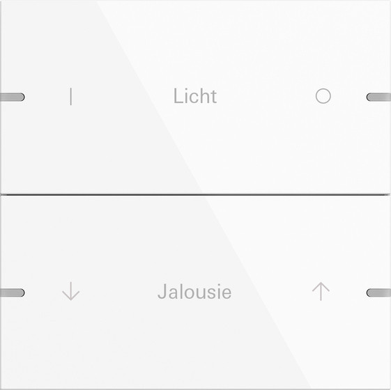 Gira 5032903 Wippenset 2-fach individuell Tastsensensor 4.95 Alum.Reinweiß(lack.)