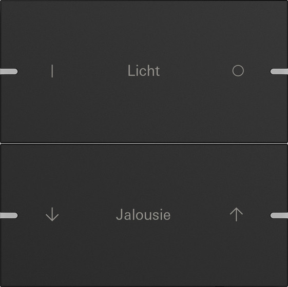 Gira 5032905 Wippenset 2-fach individuell Tastsensensor 4.95 Alum.Schwarz m(lack.)