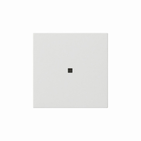 Gira 536803 S3000 BedienAufsatz Bluetooth System 55 Reinweiß