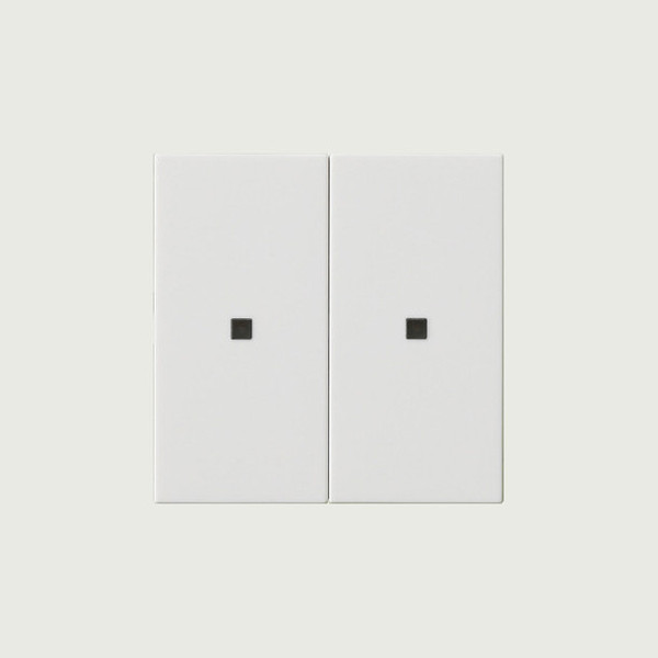 Gira 536903 Wippe 2-fach unbedruckt Kontrollfür System 55 Reinweiß