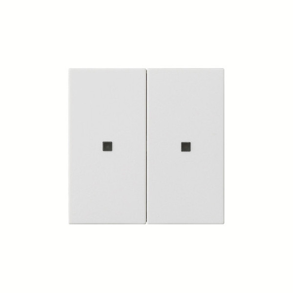 Gira 536927 Wippe 2-fach unbedruckt Kontrollfür System 55 Reinweiß m