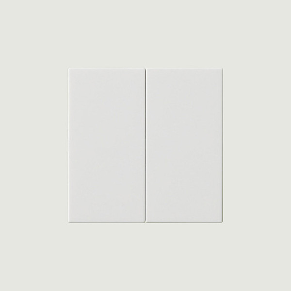 Gira 537003 Wippe 2-fach unbedruckt System 55 Reinweiß