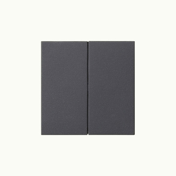 Gira 537028 Wippe 2-fach unbedruckt System 55 Anthrazit