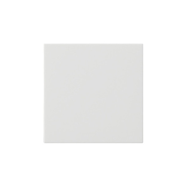 Gira 537203 Wippe 1-fach unbedruckt System 55 Reinweiß