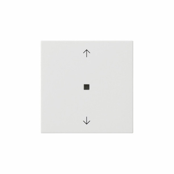 Gira 538203 S3000 BedienAufsatz Bluetooth Pfeile System 55 Reinweiß