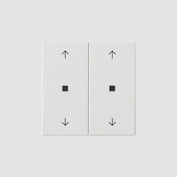 Gira 538603 Wippe 2-fach Pfeile Kontrollfür System 55 Reinweiß