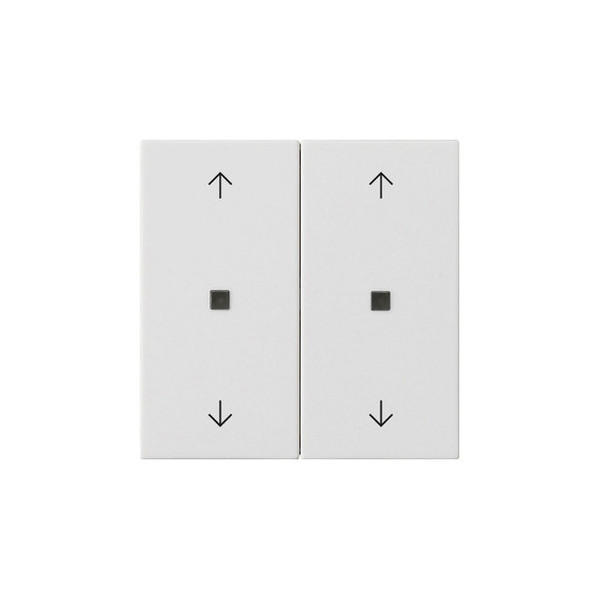 Gira 538627 Wippe 2-fach Pfeile Kontrollfür System 55 Reinweiß m