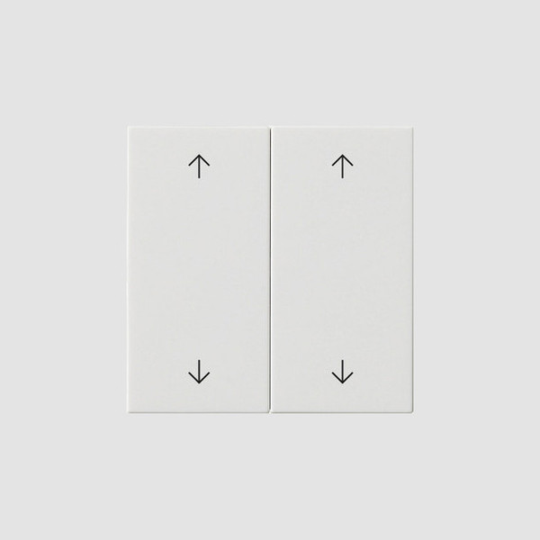 Gira 538703 Wippe 2-fach Pfeile System 55 Reinweiß